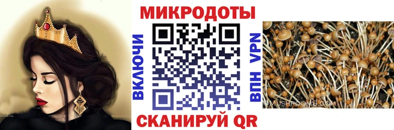 Галлюциногенные грибы мицелий  купить наркотик  Ханты-Мансийск 